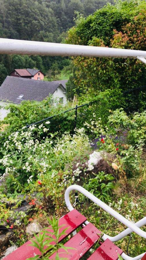 Alpen Panorama View Luxury House With Green Garden Buchs  Extérieur photo
